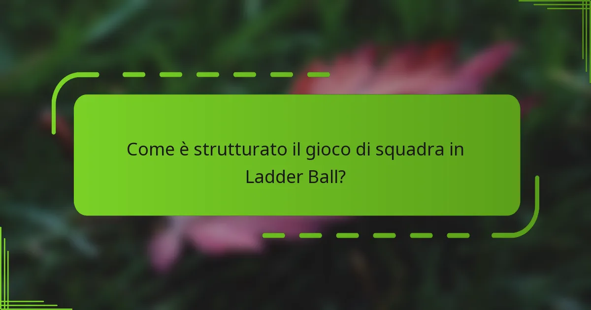 Come è strutturato il gioco di squadra in Ladder Ball?