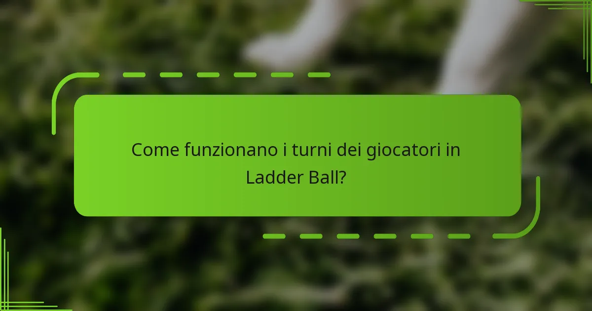 Come funzionano i turni dei giocatori in Ladder Ball?