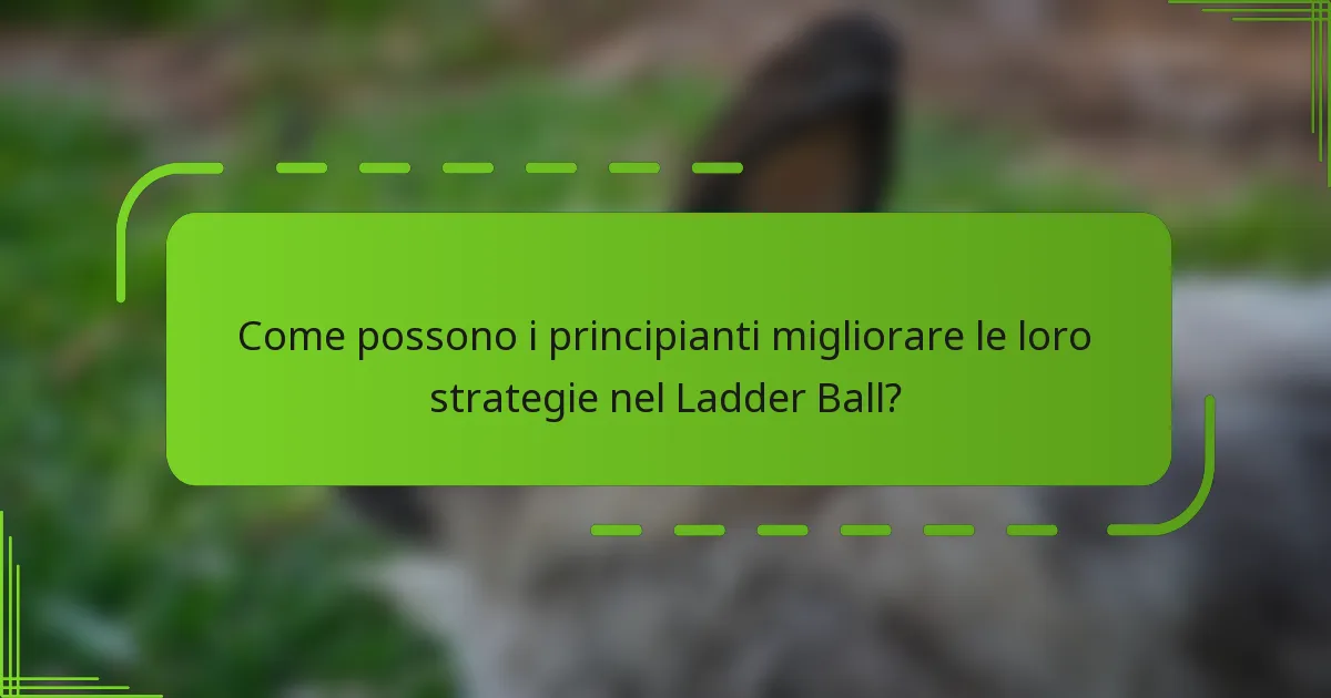 Come possono i principianti migliorare le loro strategie nel Ladder Ball?