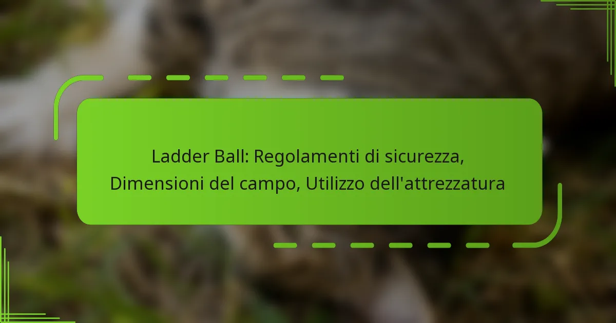 Ladder Ball: Regolamenti di sicurezza, Dimensioni del campo, Utilizzo dell’attrezzatura