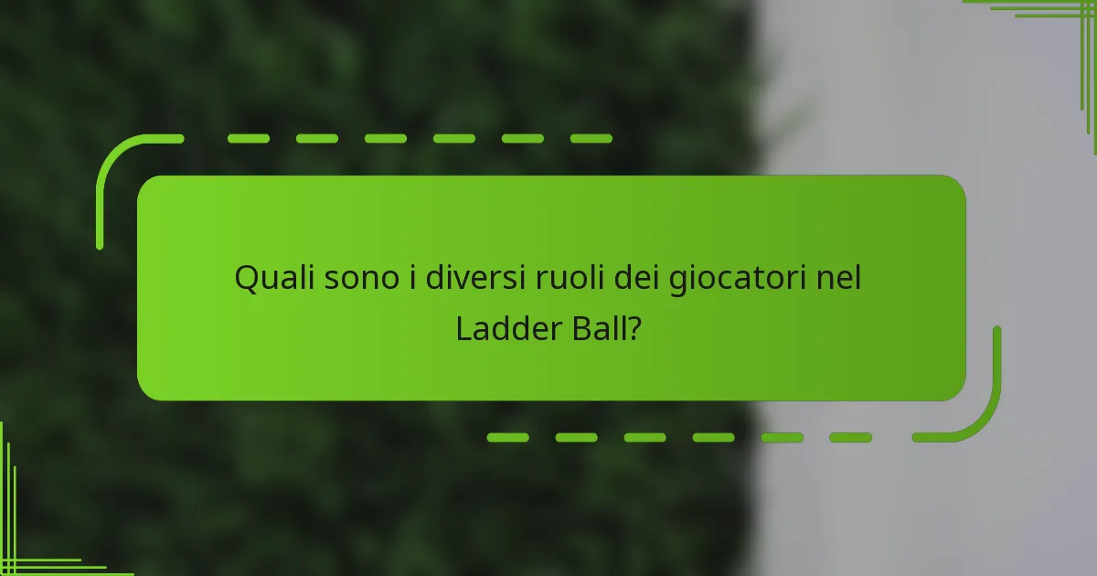 Quali sono i diversi ruoli dei giocatori nel Ladder Ball?