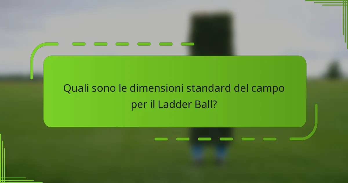 Quali sono le dimensioni standard del campo per il Ladder Ball?