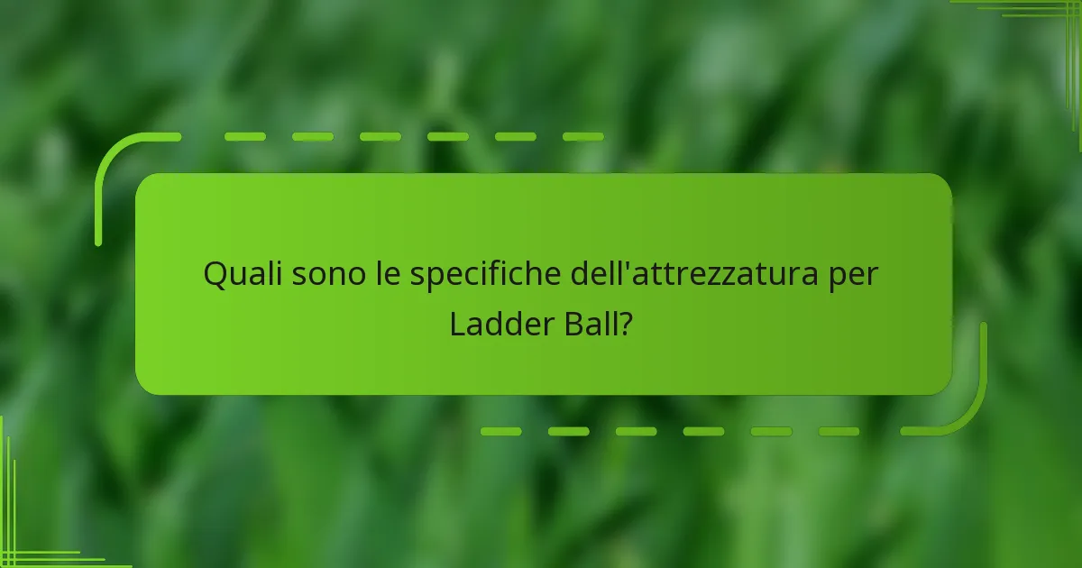 Quali sono le specifiche dell'attrezzatura per Ladder Ball?